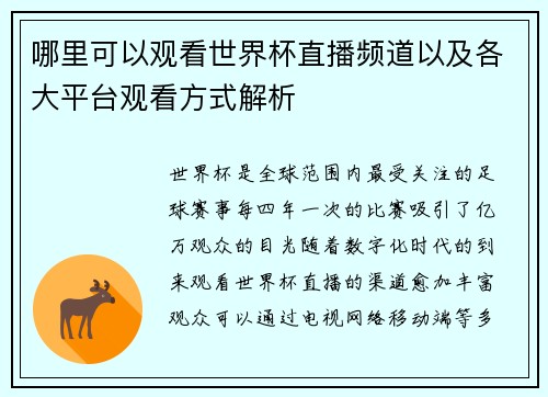 哪里可以观看世界杯直播频道以及各大平台观看方式解析