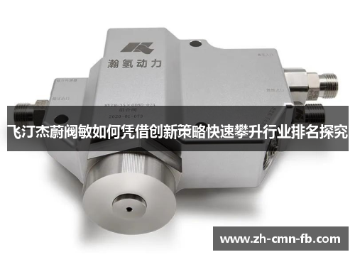 飞汀杰蔚阀敏如何凭借创新策略快速攀升行业排名探究