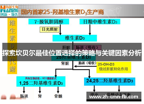 探索坎贝尔最佳位置选择的策略与关键因素分析 探索坎贝尔最佳位置选择的策略与关键因素分析
