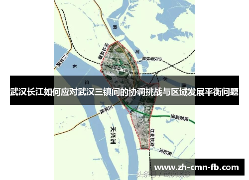 武汉长江如何应对武汉三镇间的协调挑战与区域发展平衡问题