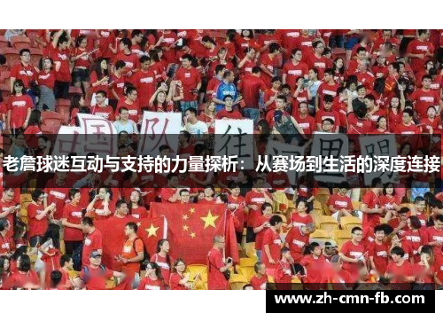 老詹球迷互动与支持的力量探析：从赛场到生活的深度连接